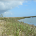 University of Central Florida's Living Shoreline Project